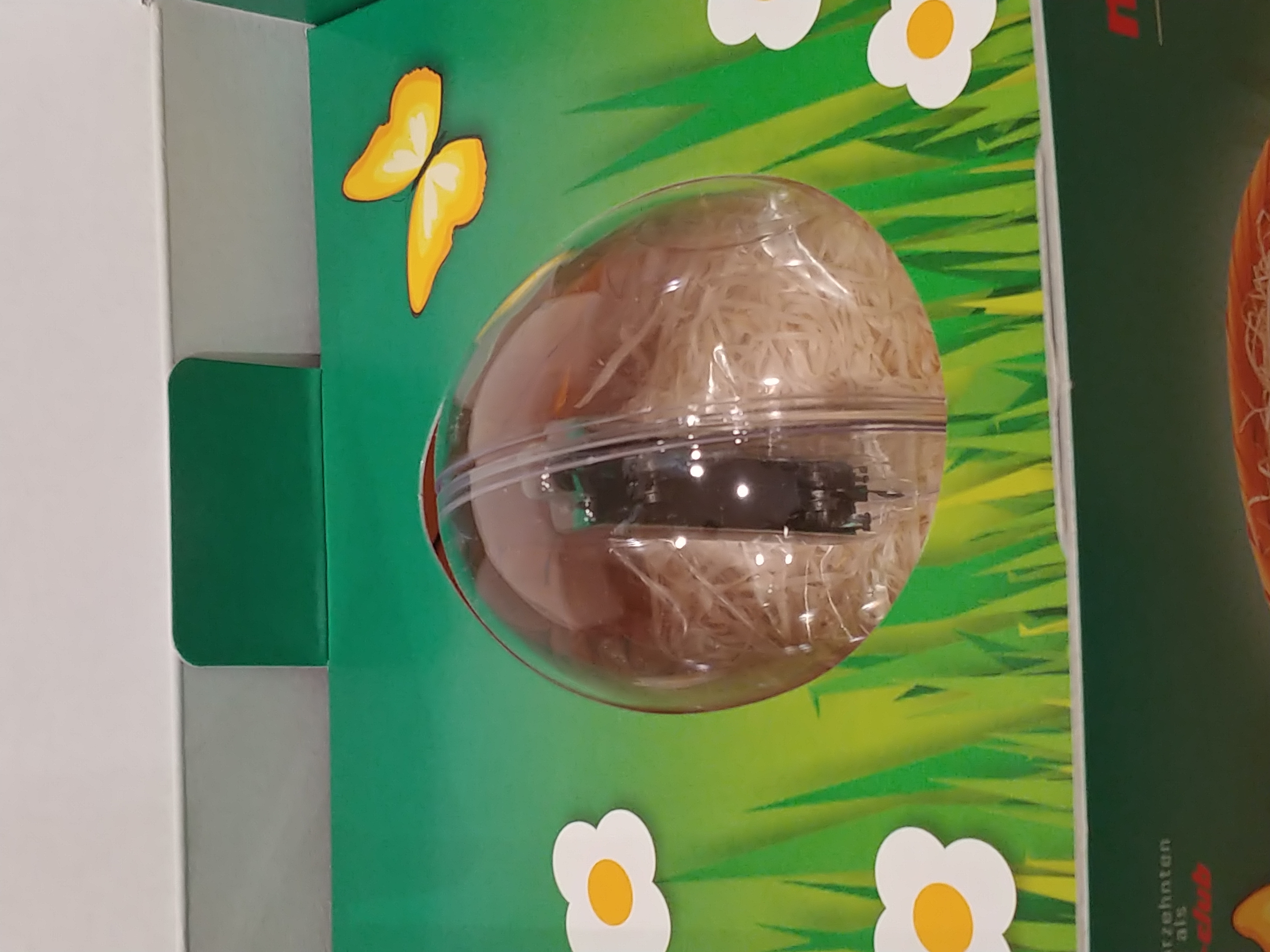 Image Not Loaded